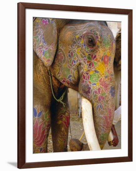 Painted Elephant, Close up of Head, Jaipur, Rajasthan, India-Bruno Morandi-Framed Photographic Print