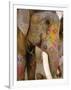 Painted Elephant, Close up of Head, Jaipur, Rajasthan, India-Bruno Morandi-Framed Photographic Print