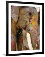 Painted Elephant, Close up of Head, Jaipur, Rajasthan, India-Bruno Morandi-Framed Photographic Print