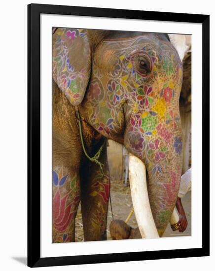 Painted Elephant, Close up of Head, Jaipur, Rajasthan, India-Bruno Morandi-Framed Photographic Print