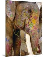 Painted Elephant, Close up of Head, Jaipur, Rajasthan, India-Bruno Morandi-Mounted Photographic Print