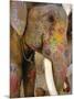 Painted Elephant, Close up of Head, Jaipur, Rajasthan, India-Bruno Morandi-Mounted Photographic Print