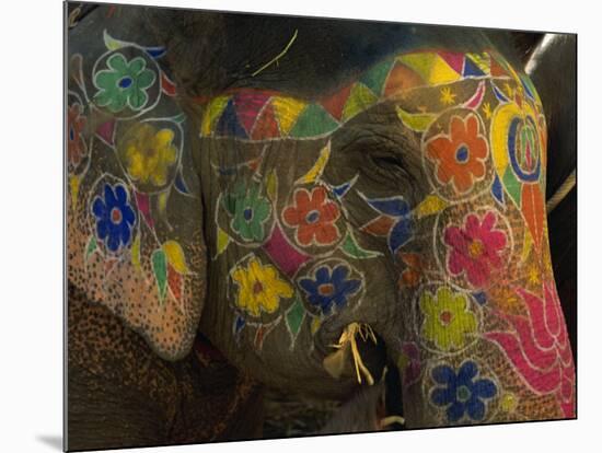 Painted Elephant, Used for Transporting Tourists, Amber Palace, Jaipur, Rajasthan, India-Jeremy Bright-Mounted Photographic Print