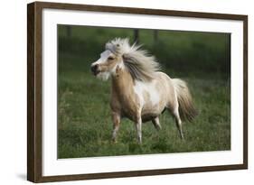 Painted Feather Farm-Bob Langrish-Framed Photographic Print