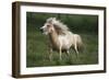 Painted Feather Farm-Bob Langrish-Framed Photographic Print