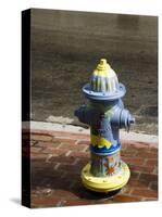 Painted Fire Hydrant, Key West, Florida, USA-R H Productions-Stretched Canvas