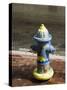 Painted Fire Hydrant, Key West, Florida, USA-R H Productions-Stretched Canvas