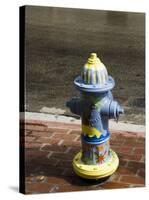 Painted Fire Hydrant, Key West, Florida, USA-R H Productions-Stretched Canvas