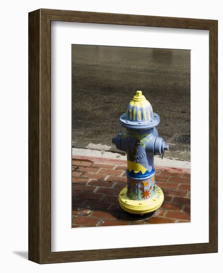 Painted Fire Hydrant, Key West, Florida, USA-R H Productions-Framed Photographic Print