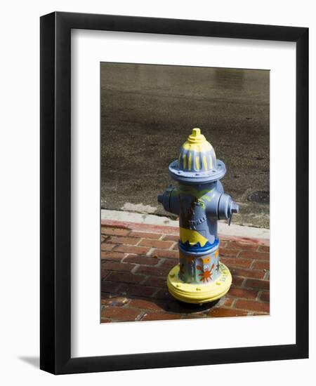 Painted Fire Hydrant, Key West, Florida, USA-R H Productions-Framed Photographic Print
