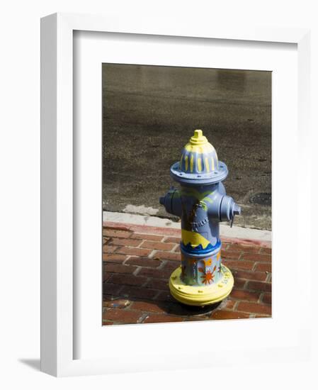 Painted Fire Hydrant, Key West, Florida, USA-R H Productions-Framed Photographic Print