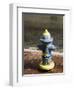 Painted Fire Hydrant, Key West, Florida, USA-R H Productions-Framed Photographic Print