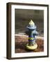 Painted Fire Hydrant, Key West, Florida, USA-R H Productions-Framed Photographic Print