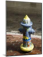 Painted Fire Hydrant, Key West, Florida, USA-R H Productions-Mounted Photographic Print