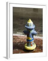 Painted Fire Hydrant, Key West, Florida, USA-R H Productions-Framed Photographic Print