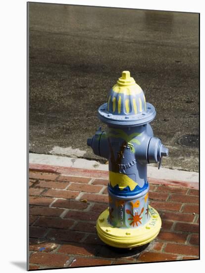 Painted Fire Hydrant, Key West, Florida, USA-R H Productions-Mounted Photographic Print