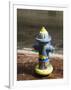 Painted Fire Hydrant, Key West, Florida, USA-R H Productions-Framed Photographic Print