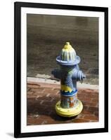 Painted Fire Hydrant, Key West, Florida, USA-R H Productions-Framed Photographic Print