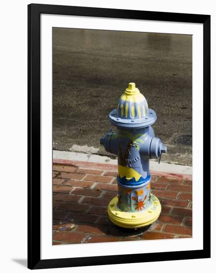 Painted Fire Hydrant, Key West, Florida, USA-R H Productions-Framed Photographic Print