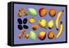 Painted Fruit-null-Framed Stretched Canvas