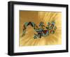 Painted Gecko Lizard on Wall, Tucson, Arizona, USA-Merrill Images-Framed Photographic Print