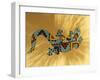 Painted Gecko Lizard on Wall, Tucson, Arizona, USA-Merrill Images-Framed Photographic Print