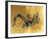 Painted Gecko Lizard on Wall, Tucson, Arizona, USA-Merrill Images-Framed Photographic Print