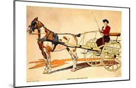 Painted Harness Pony-Edward Penfield-Mounted Giclee Print