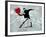 Painted heart Thrower-Banksy-Framed Giclee Print