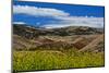 Painted Hills Mitchell Oregon USA-Michel Hersen-Mounted Photographic Print