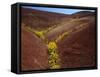 Painted Hills National Monument-Steve Terrill-Framed Stretched Canvas