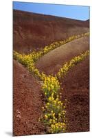 Painted Hills National Monument-Steve Terrill-Mounted Premium Photographic Print