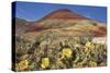 Painted Hills National Monument-Steve Terrill-Stretched Canvas