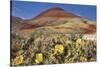 Painted Hills National Monument-Steve Terrill-Stretched Canvas