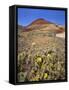 Painted Hills National Monument-Steve Terrill-Framed Stretched Canvas