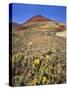 Painted Hills National Monument-Steve Terrill-Stretched Canvas