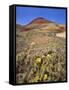 Painted Hills National Monument-Steve Terrill-Framed Stretched Canvas