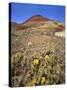 Painted Hills National Monument-Steve Terrill-Stretched Canvas