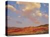 Painted Hills National Monument-Steve Terrill-Stretched Canvas