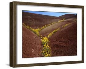 Painted Hills National Monument-Steve Terrill-Framed Photographic Print