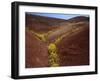 Painted Hills National Monument-Steve Terrill-Framed Photographic Print