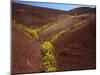 Painted Hills National Monument-Steve Terrill-Mounted Photographic Print