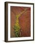 Painted Hills National Monument-Steve Terrill-Framed Photographic Print