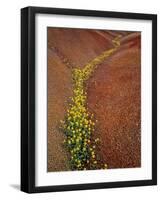 Painted Hills National Monument-Steve Terrill-Framed Photographic Print