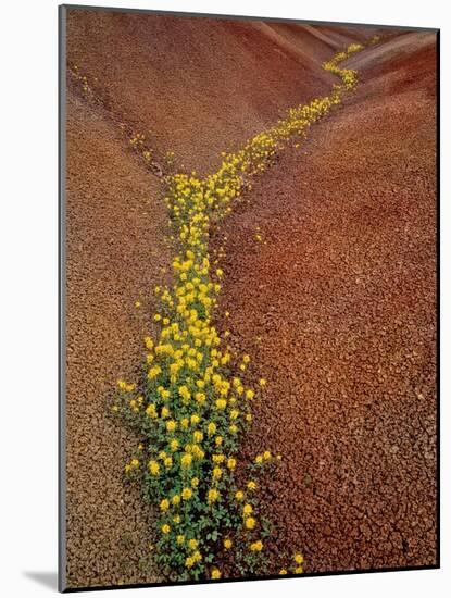 Painted Hills National Monument-Steve Terrill-Mounted Photographic Print