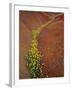 Painted Hills National Monument-Steve Terrill-Framed Photographic Print