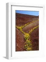 Painted Hills National Monument-Steve Terrill-Framed Photographic Print