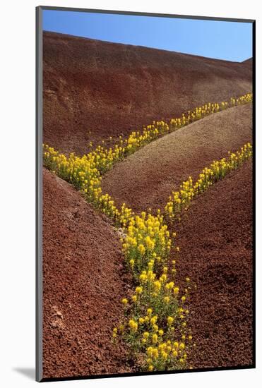 Painted Hills National Monument-Steve Terrill-Mounted Photographic Print