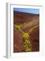 Painted Hills National Monument-Steve Terrill-Framed Photographic Print