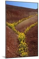 Painted Hills National Monument-Steve Terrill-Mounted Photographic Print